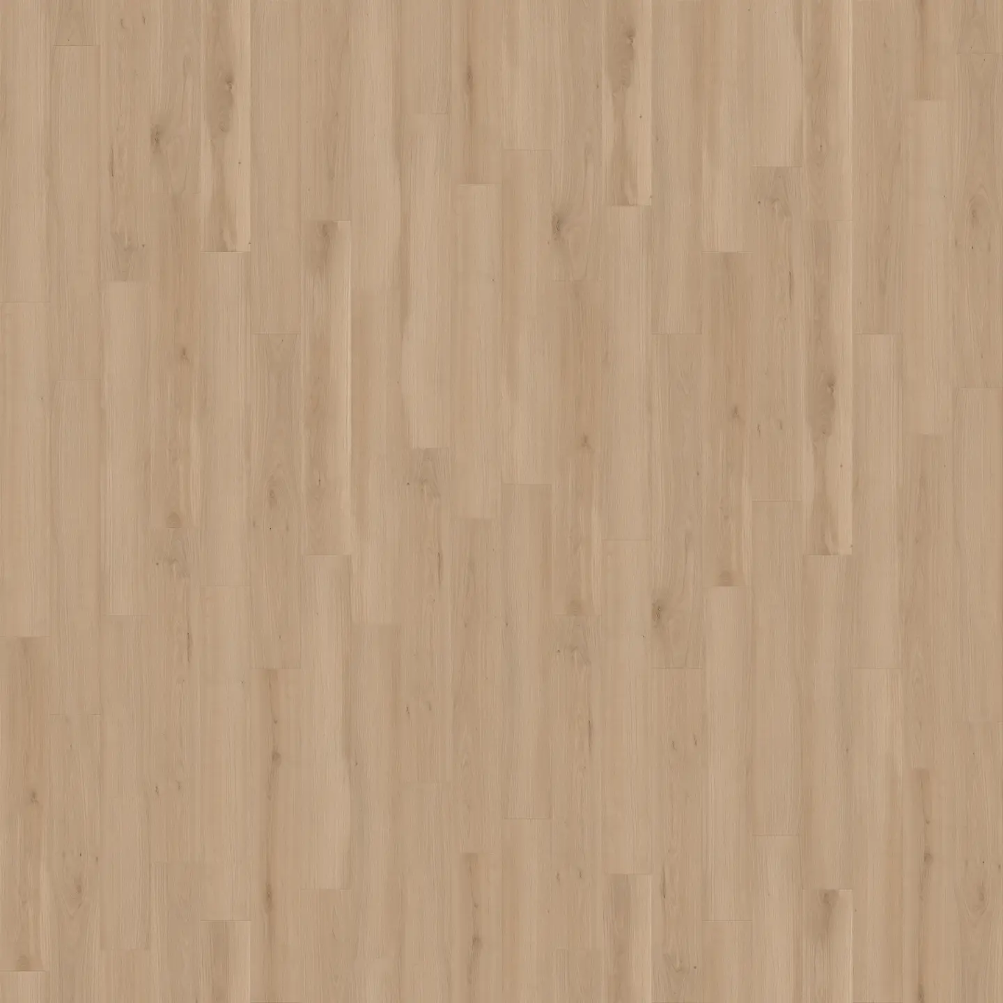 Rockaway Oak flooring installed in modern home